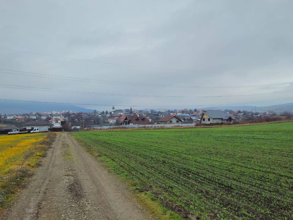 Teren Ciritei - Piatra Neamț- intravilan