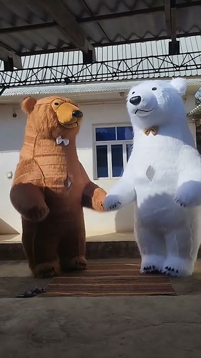 Айик айиклар 3.5м хизмати аниматор Ayiq ayiqlar 3.5m xizmati animator