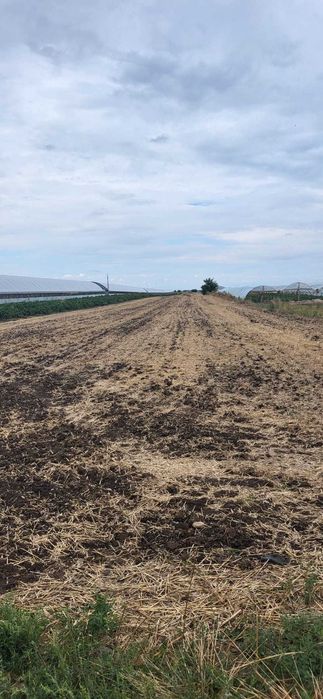 Vand teren in Scarisoara, Olt.