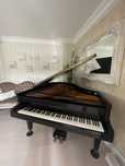 Pian Grotrian STEINWEG