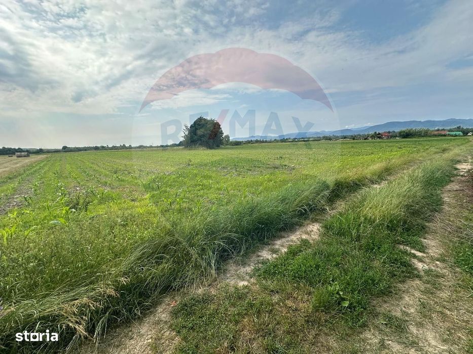 De Vanzare- Teren Intravilan In Coltau