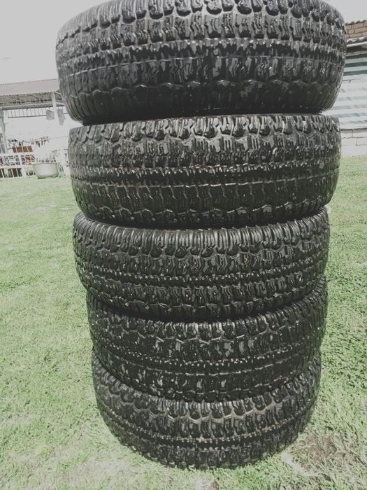 Болон Нива  жагдай бу