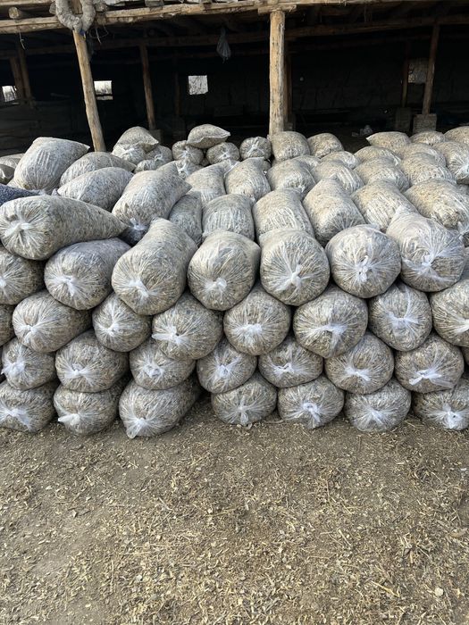 Donli silos sotiladi