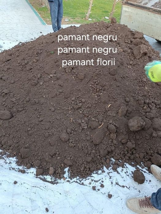 Pământ grădină negru vegetal gazon flori