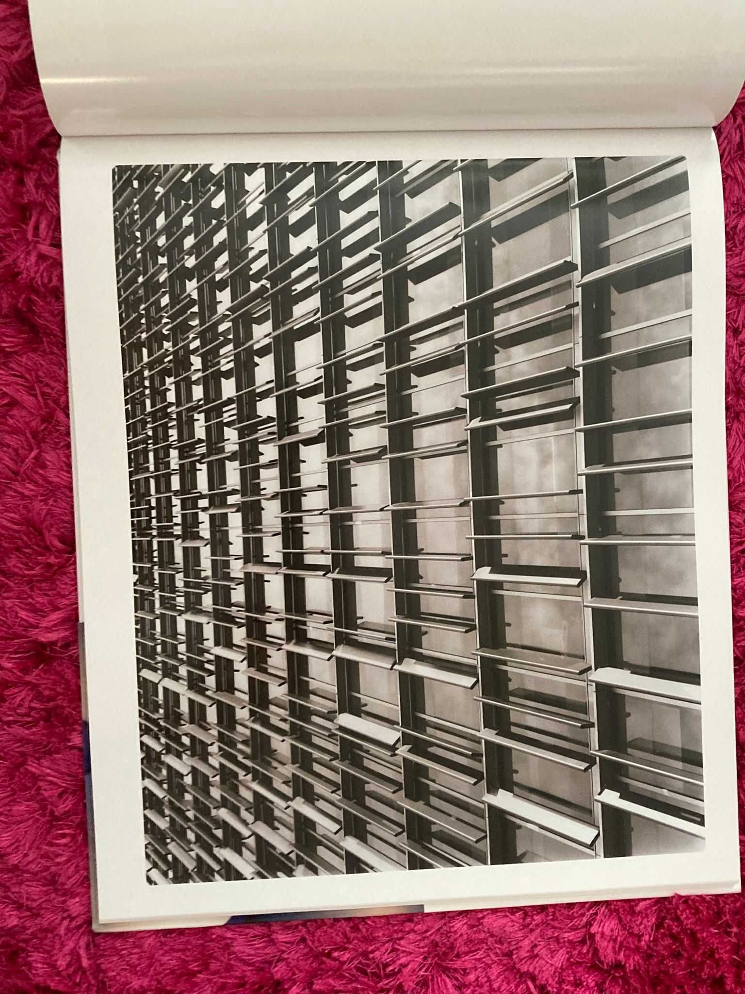 Jenny Okun - Variations carte fotografie arhitecturala cladiri mare