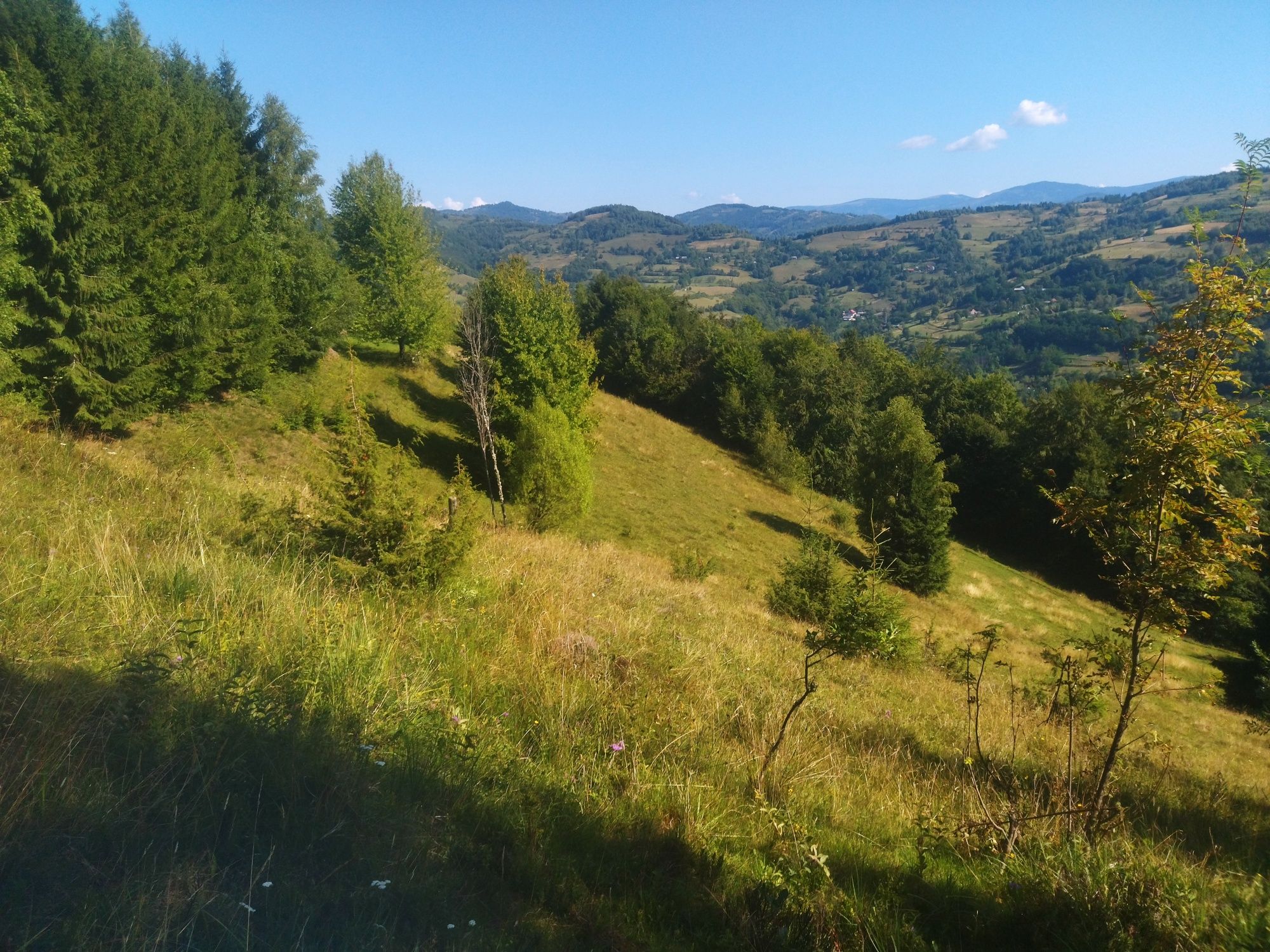 Vând casă cu teren la munte!