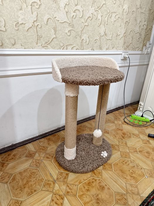 Когтеточка для кошек. Лежанка кошки. Зоодомики