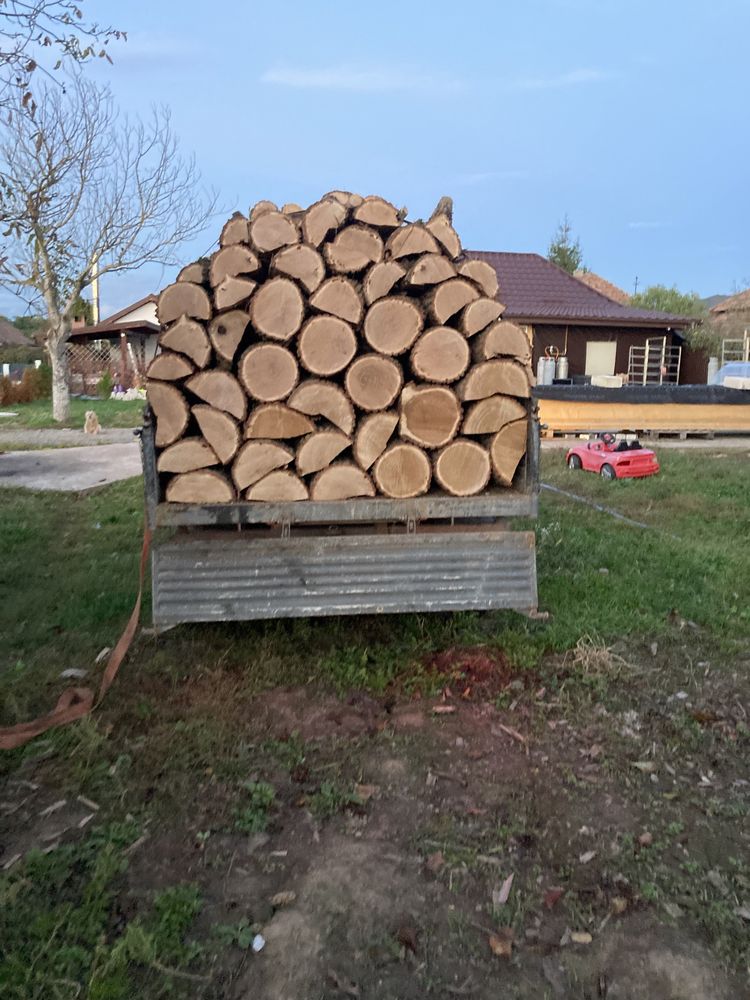 Vanzare lemn de foc,cer,gorun