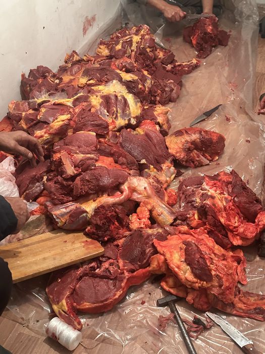 Соғым сою етті бұзу жіліктеу қоянды астана