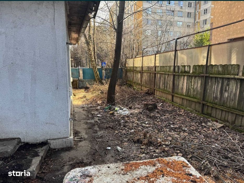 3Camere Crangasi George Valsan