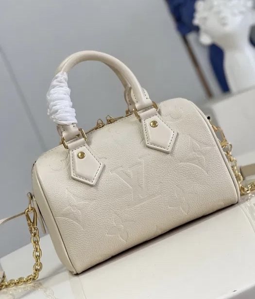 Louis Vuitton Speedy 20