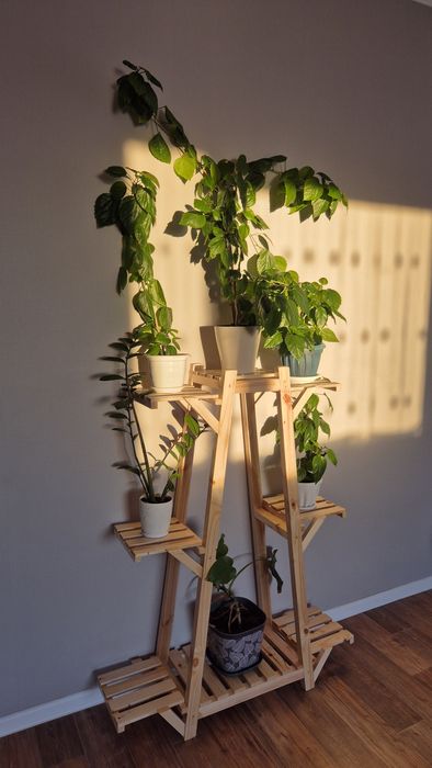 Инсталляция для цветов, цветочник