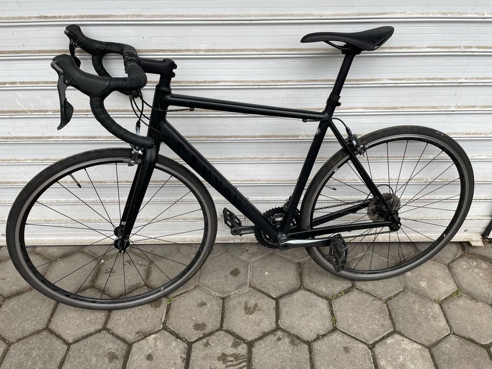 Canyon Endurace Al 6.0