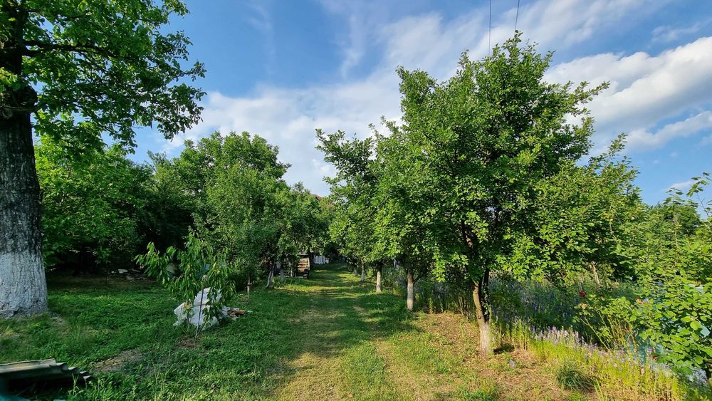 Vând Teren și Casă Viforâta, Târgoviște, Mănăstirea Dealu