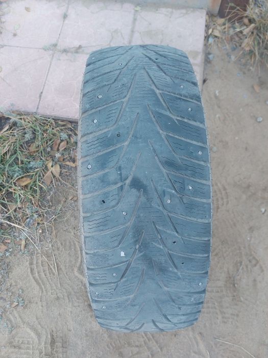 Резина зимняя. 1 балон.