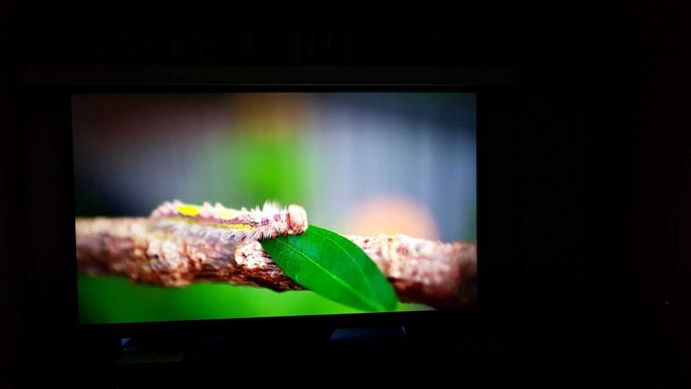 Ecran proiectie 100 inch ALR GREY Vizual Experience rabatabil electric