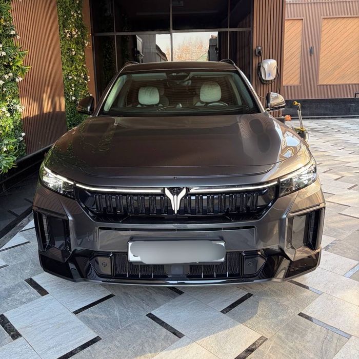 Voyah free 318km 2024/25