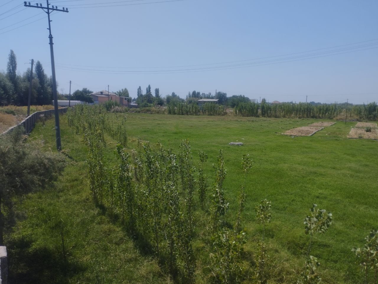Noturar yer sotiladi, toshkent viloyatida. Нежилой земельный участок