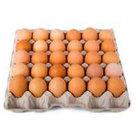 Яйца оплодени Кохин стандарт порцелан