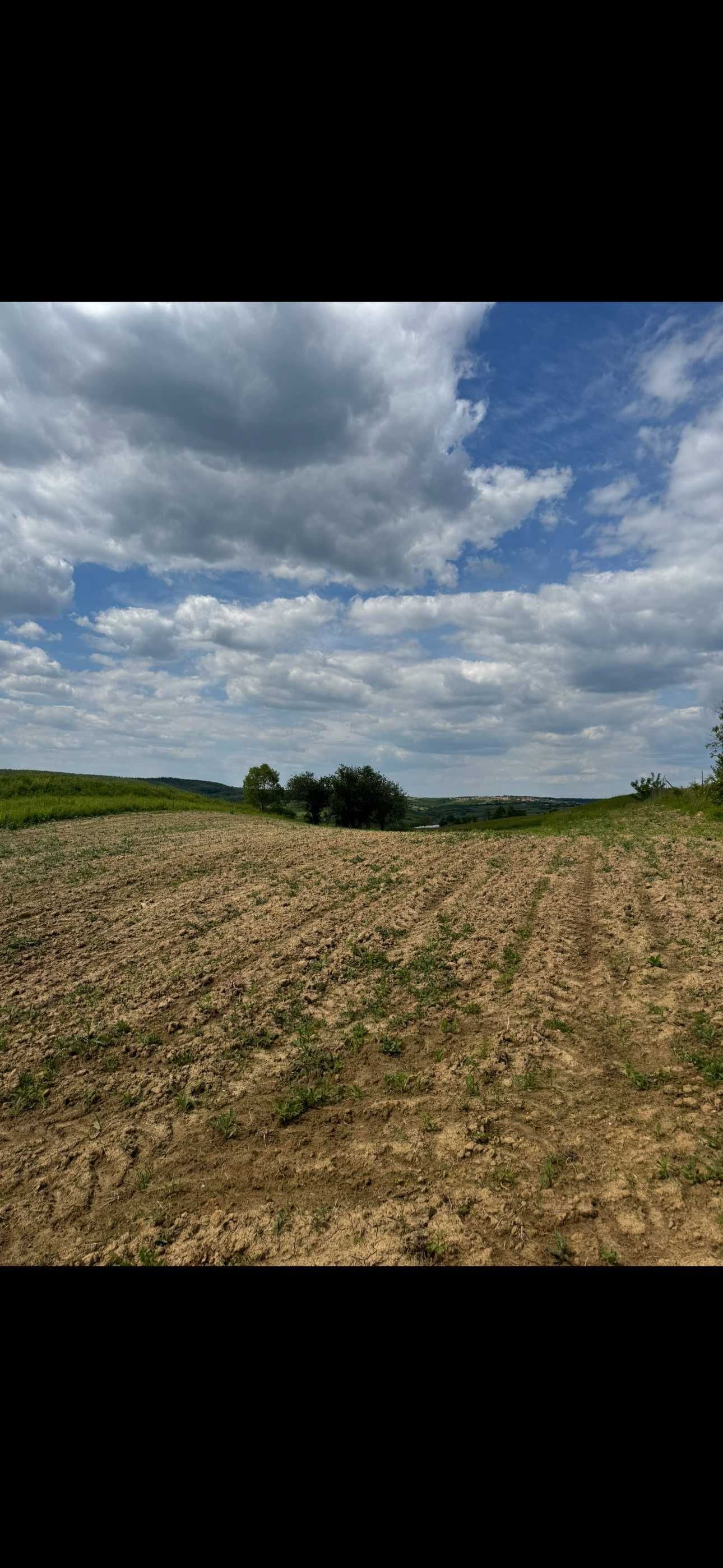 Teren intravilan - Lazareni , Bihor