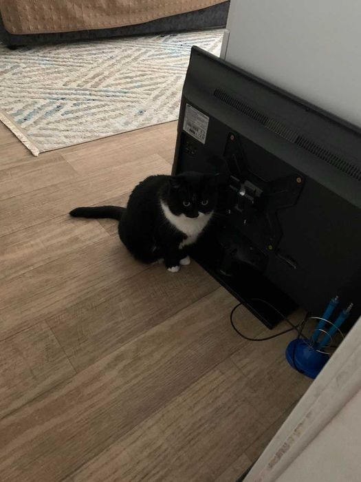 Продам телевизор Samsung с кронштейном и антенной