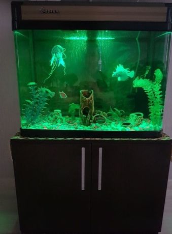 Заводской аквариум панорамный без швов 90 литров