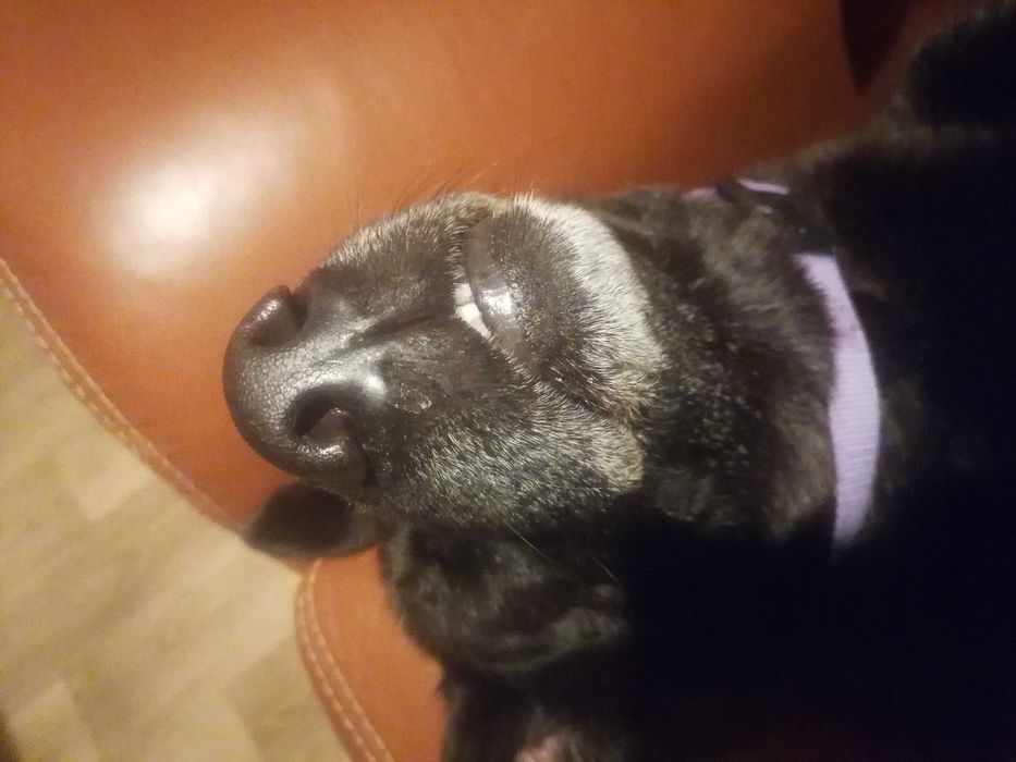 Зимно дамско дълго палто