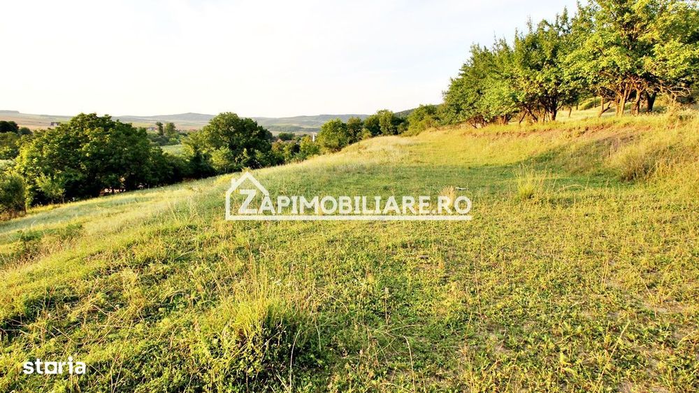 Teren Intravilan,5.000mp cu utilităti si proiect casă 12e mp