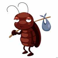 dezinfeksiya klapa дезинфексия муха
