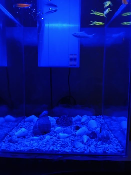 Аквариум 35 литрлик