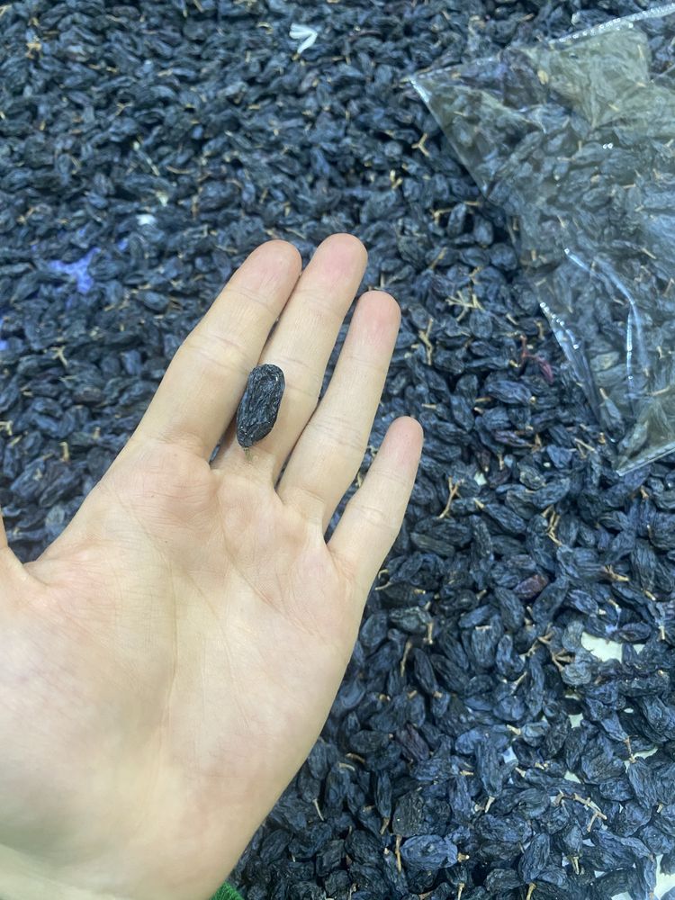 Mayiz Soʻqoq Parkent