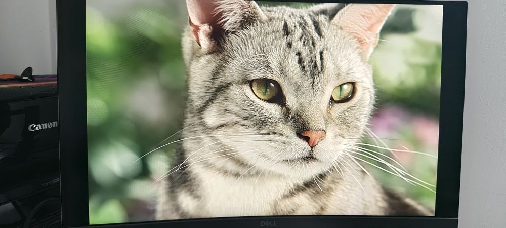 Monitor curbat Dell S2422HG, 165Hz, 1ms – impecabil