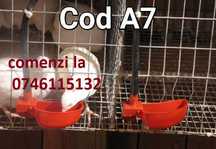 Adapatori gaini prepelite pui gaste rate pasari-Cu nivel constant-A7