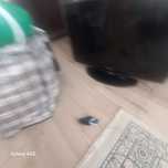 Телевизор смарт барі бар