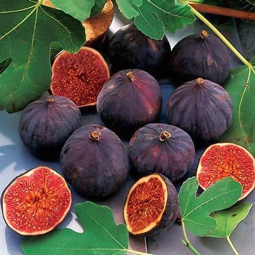 Pomi fructiferi Exotici La Ghiveci (SMOCHIN )