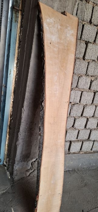 Берёза неабрезной