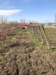 Vand teren intravilan 3000mp belcesti cu utilitati și acte la zi