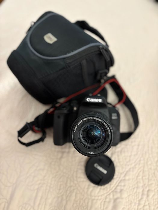 Canon EOS 800D + EF-S 18-55mm