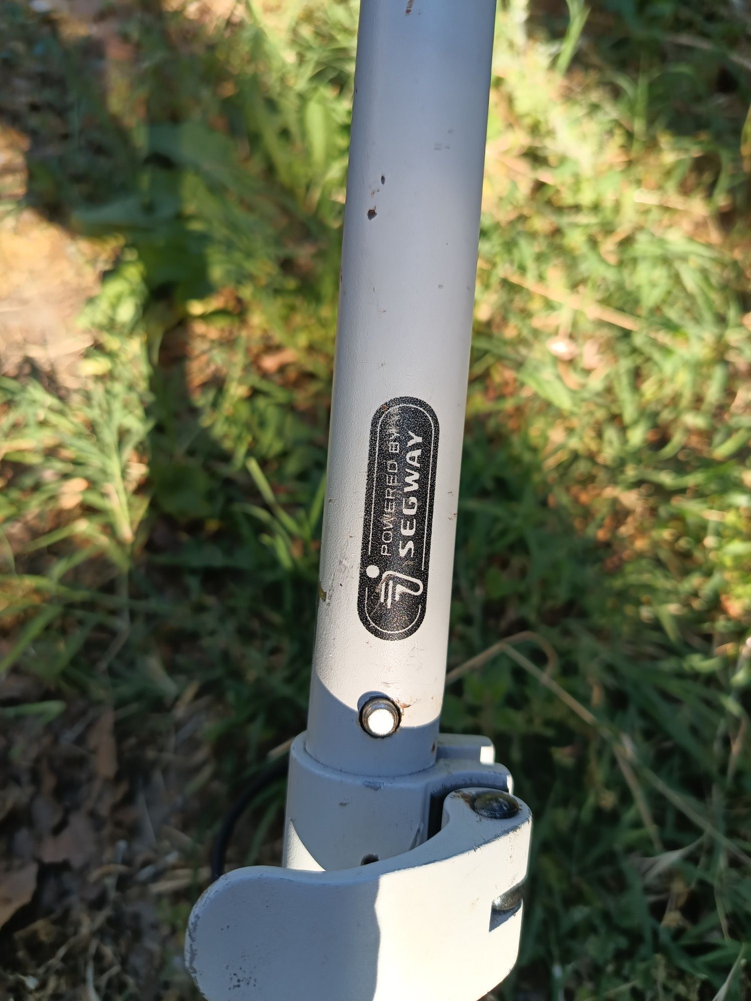 Детска тротинетка Ninebot C10