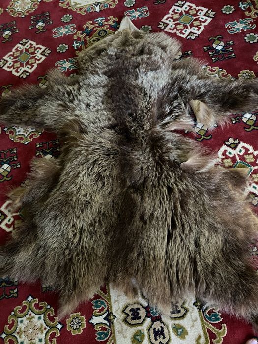 Продам шкуры животных