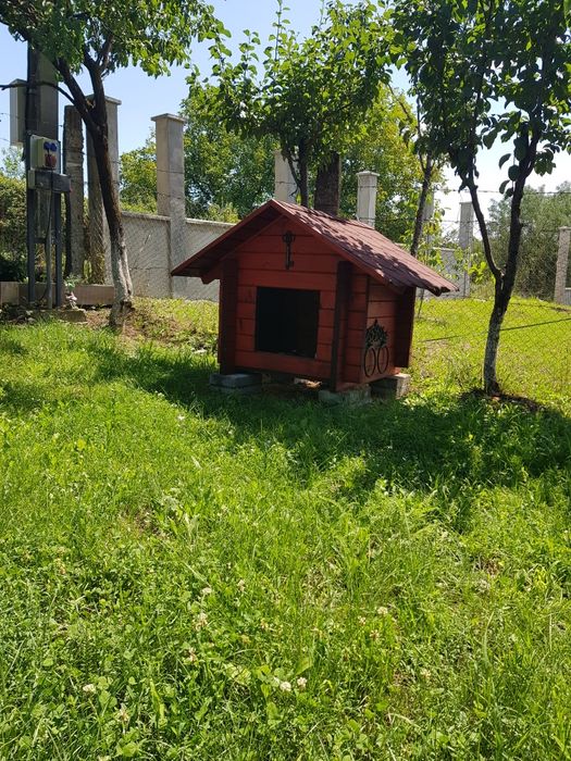 Vand Casută adăpost caine