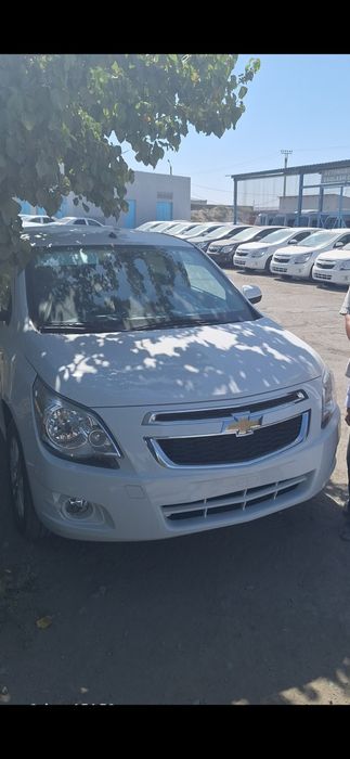 Cobalt stayel 2025 sho't salonda