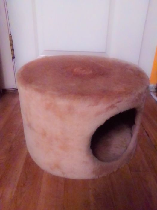 Для кошки жилище