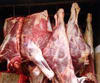 Продам мясо говядины  частями и тушами 1900за килограм