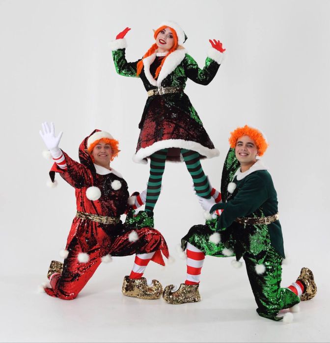 Сказочные новогодние аниматоры