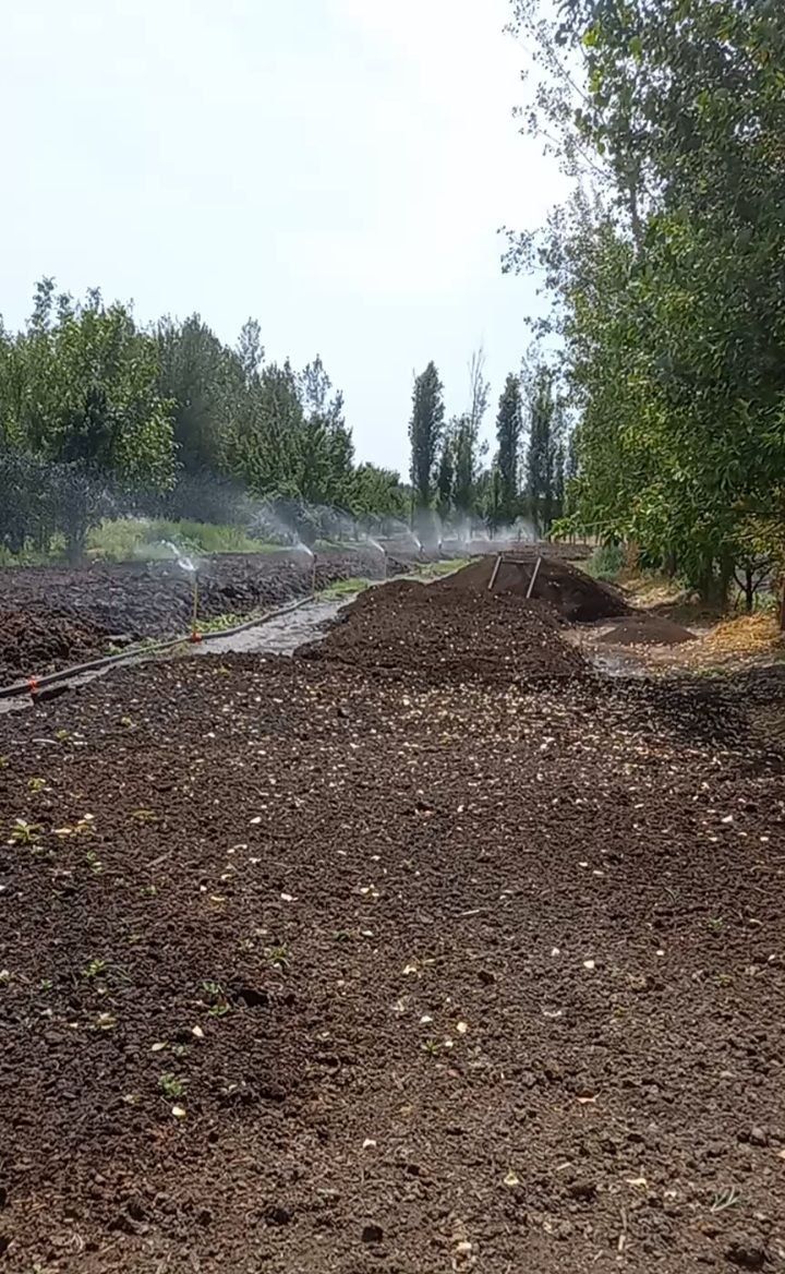 Biogomus toshkent bizda barcha turdagi qulayliklar yaratilgan