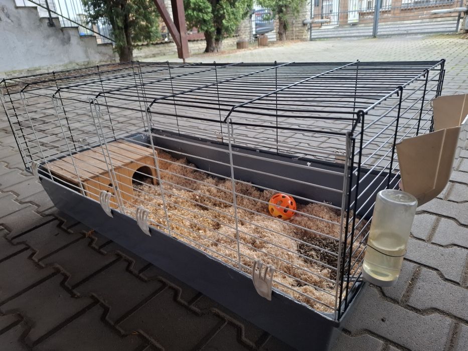 Vand cusca mare rozătoare/iepure