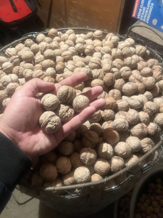 Жаңғақ сатылады 550 тг килограммы