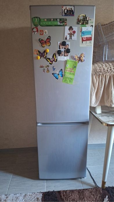 Muzlatkich xaladinik