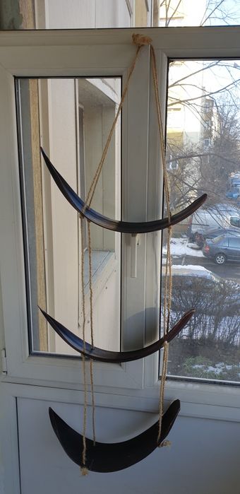 Suport etajera accesoriu decorațiune cocos Franța 1950